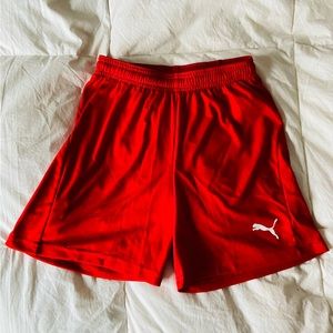 Puma Red Soccer Shorts